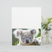 Papier Koala Bears (Debout devant)