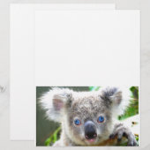Papier Koala Bears (Devant / Derrière)