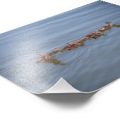 Papier Kodak photo 6x4 (Coin)