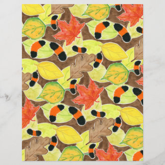 Papier La chenille de Woollybear