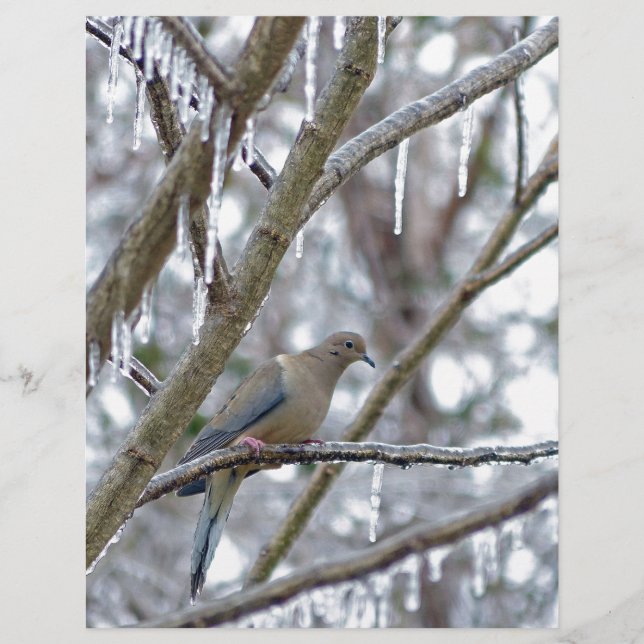 Papier La colombe en deuil (Devant)