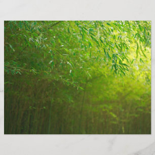 Papier La forêt de Bambou