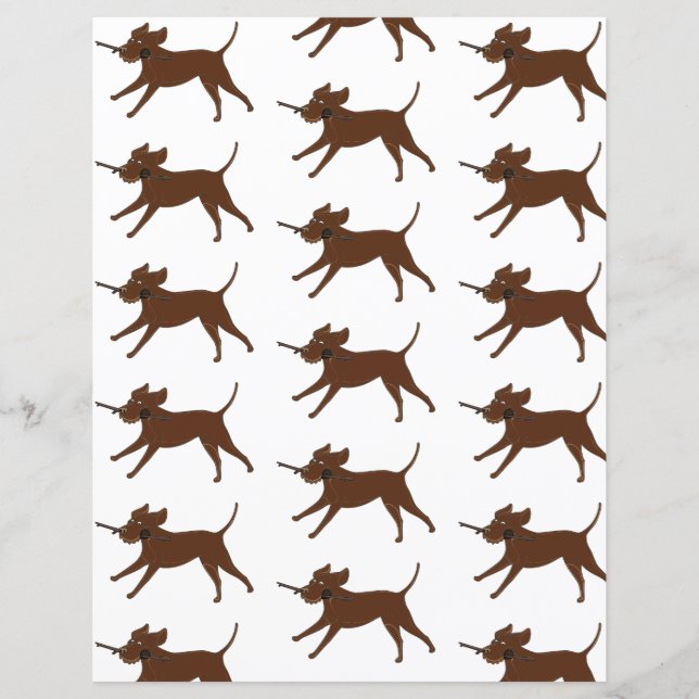 Papier Laboratoire de chocolat LR avec scrapbook en bâton (Devant)