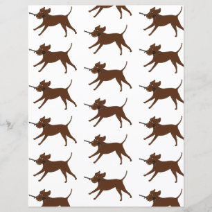 Papier Laboratoire de chocolat LR avec scrapbook en bâton