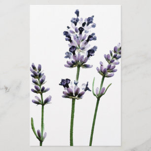 Papier Lavande   Purple Floral Flowers Pastel
