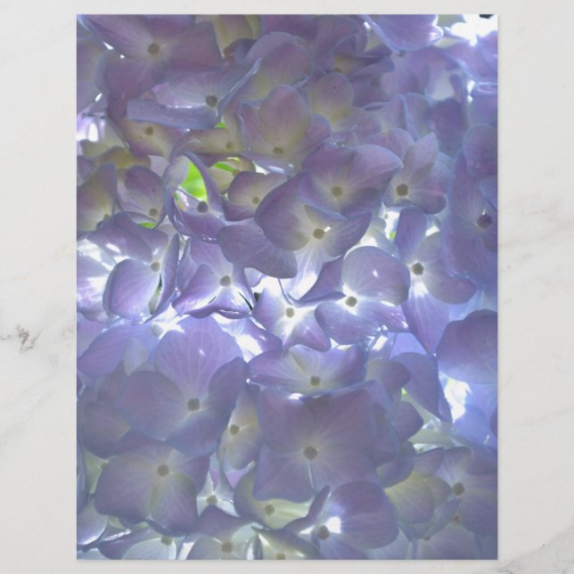Papier Lavender Hydrangeas fleurs violettes (Devant)