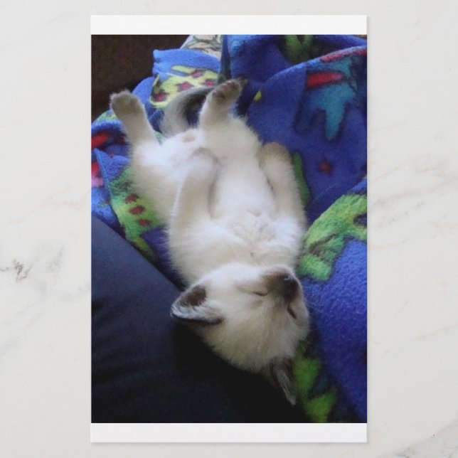 Papier Lazy Cat (Devant)