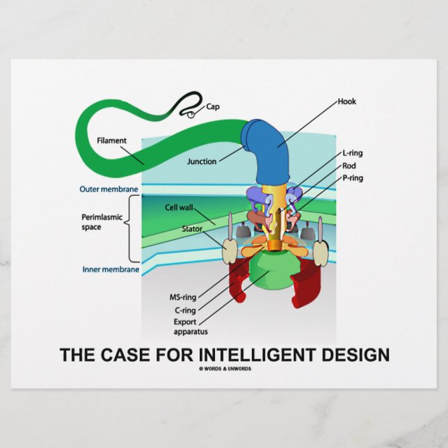 Papier Le Coque Pour Le Design Intelligent (Flagellum) (Devant)