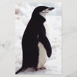 Papier Le Pingouin Le Plus Cutest, Jamais