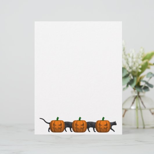 Papier Le plus long chat du monde (Debout devant)