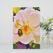 Papier Le scarabée japonais sur la rose blanche (Debout devant)