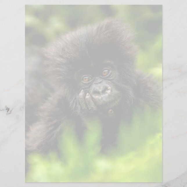 Papier Les bébés animaux les plus mignons | Bébé gorille  (Devant)