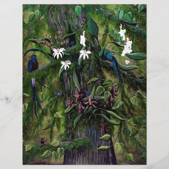 Papier Les jungles de Tikal (Devant)