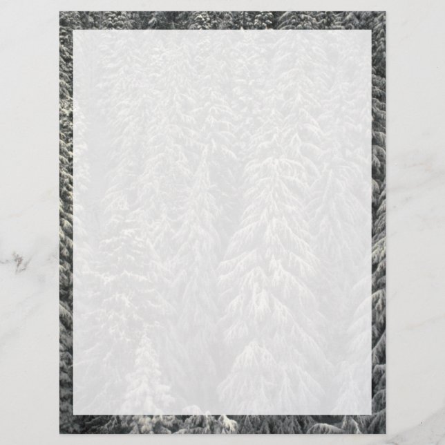 Papier Les pins couverts de neige (Devant)
