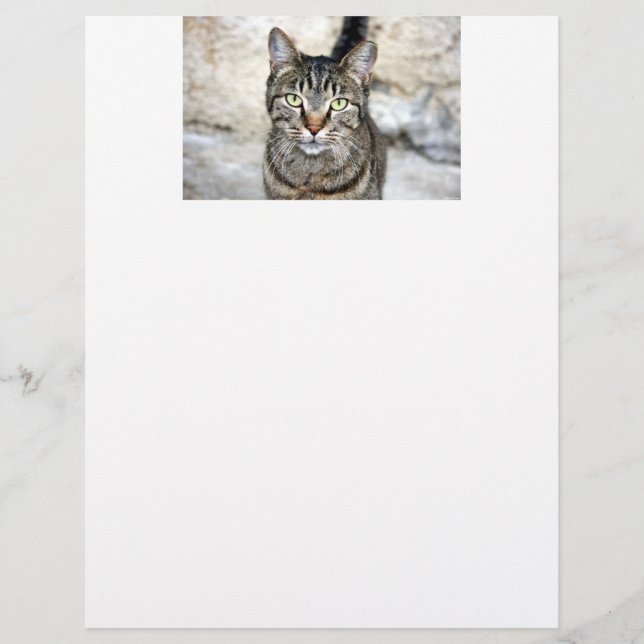 Papier LETTRE CHAT égyptienne Tête (Devant)