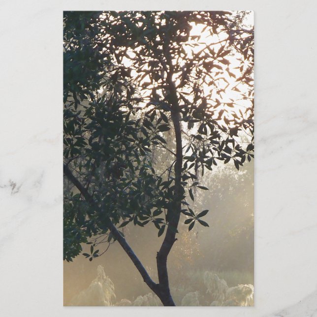 Papier lever du soleil (Devant)