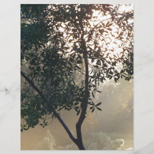 Papier lever du soleil
