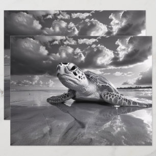 Papier Livre blanc et noir de la tortue de mer