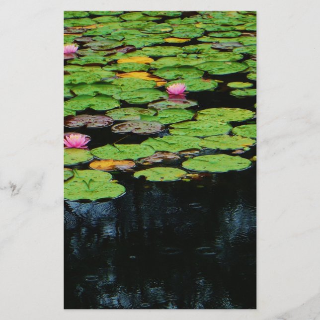 Papier lotus rose noir (Devant)