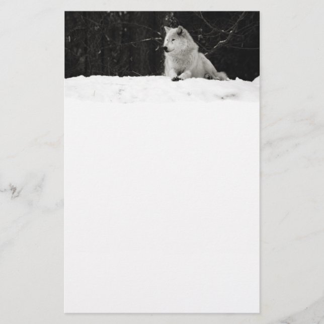 Papier Loup de Neige (Devant)