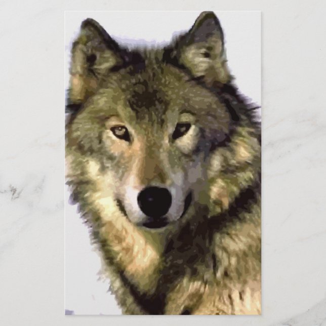 Papier Loup Gris (Devant)