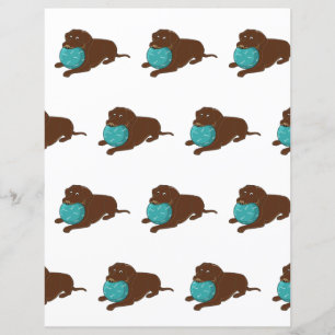 Papier LR chocolat laboratoire chewing-ball dessin de bou