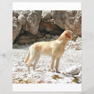 Papier LR jaune plein