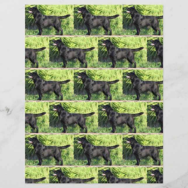 Papier LR noir complet (Devant)