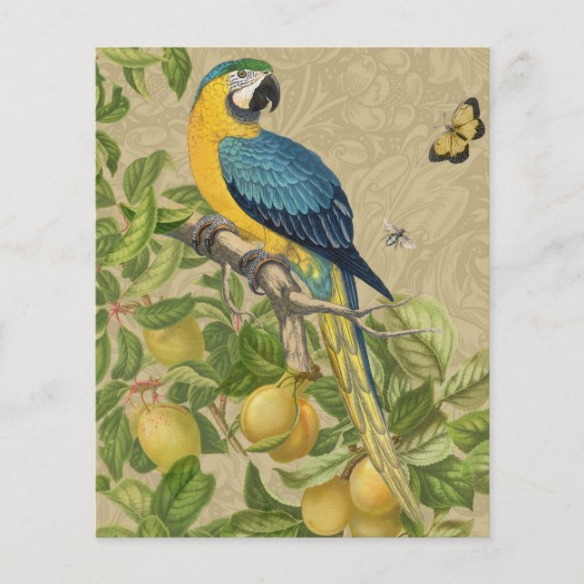Papier Macaw Blue Jaune Tropical Jungle Antique (Devant)