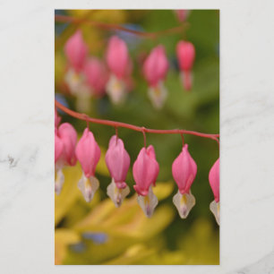 Papier Macro Coeurs saignants