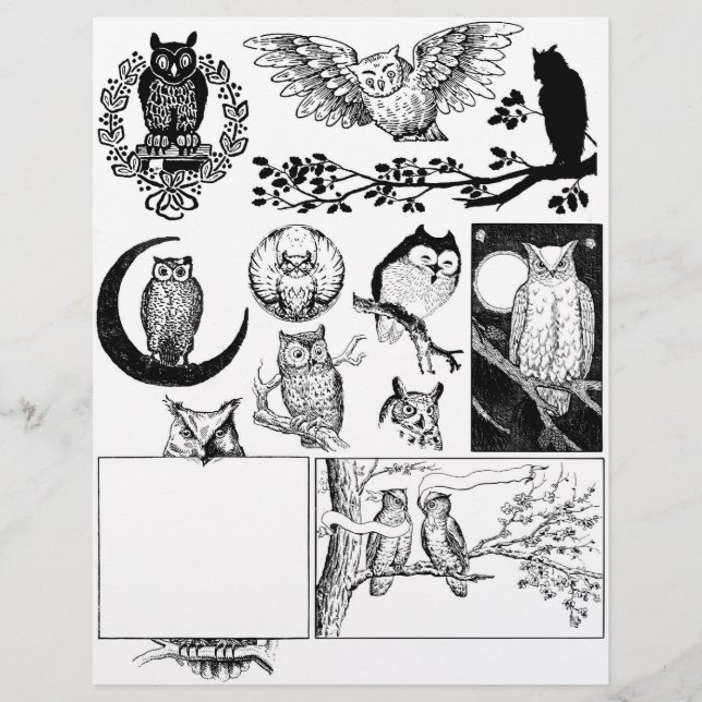 Papier Magnifique Black & White Line Dessins d'art de Cho (Devant)