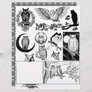 Papier Magnifique Black & White Line Dessins d'art de Cho