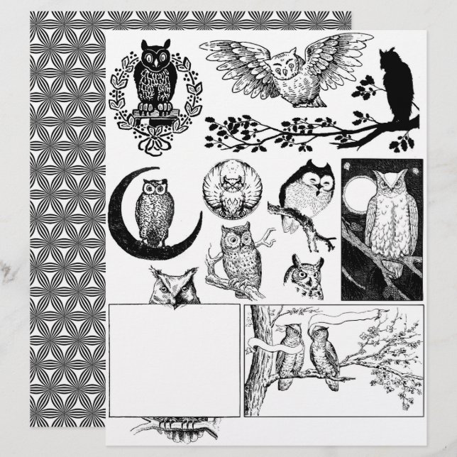 Papier Magnifique Black & White Line Dessins d'art de Cho (Devant / Derrière)