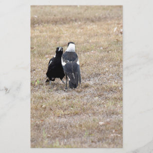 PAPIER MAGPIE RURAL QUÉENSLAND AUSTRALIE