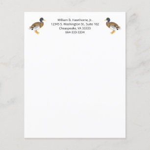 Papier Mallard Canard Oiseau Nature Animaux sauvagine Hom