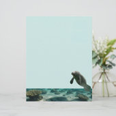 Papier Manatee Stationnaire (Debout devant)