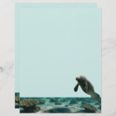 Papier Manatee Stationnaire (Devant / Derrière)