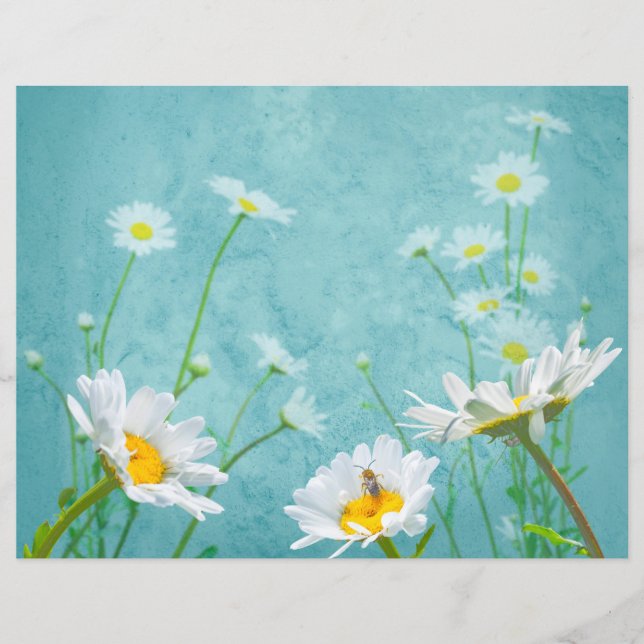 Papier Marguerites sur fond bleu (Devant)
