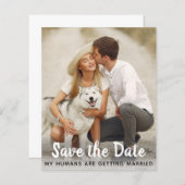 Papier Mariage de chien Enregistrer la date Budget QR Cod (Devant / Derrière)