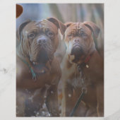 Papier Mastiff Plus (Dos)