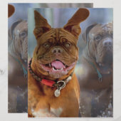Papier Mastiff Plus (Devant / Derrière)