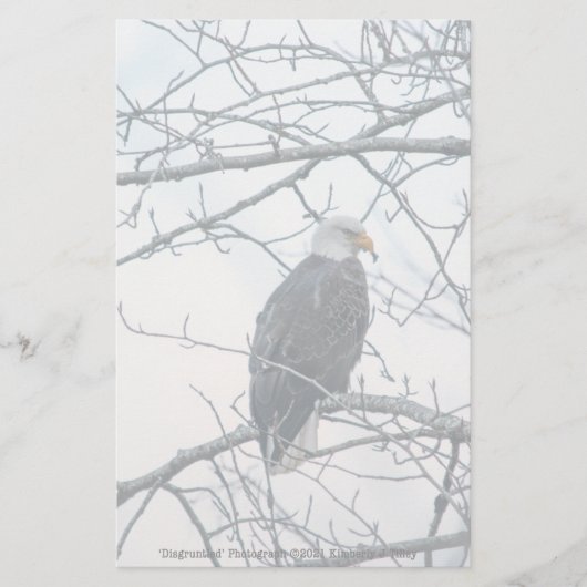 Papier mécontent (Devant)