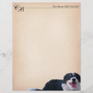 Papier Mélange Collie Bordure