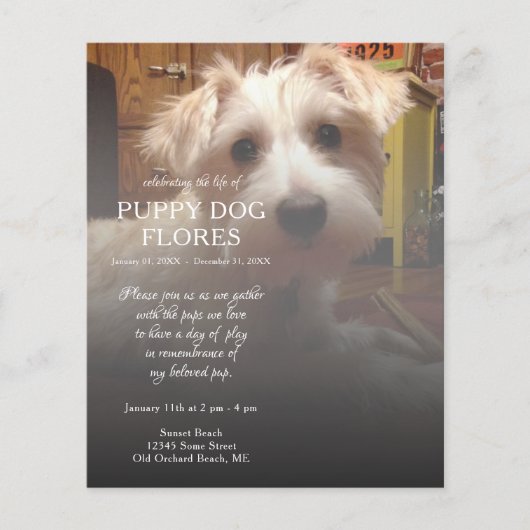 Papier mémorial photo côté droit (Devant)