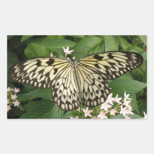 Papier met butterfly-stickers rechthoekige sticker