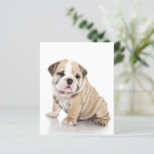 Papier Mignon chiot bouledogue Triste