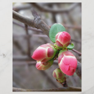 Papier minuscules bourgeons rouges
