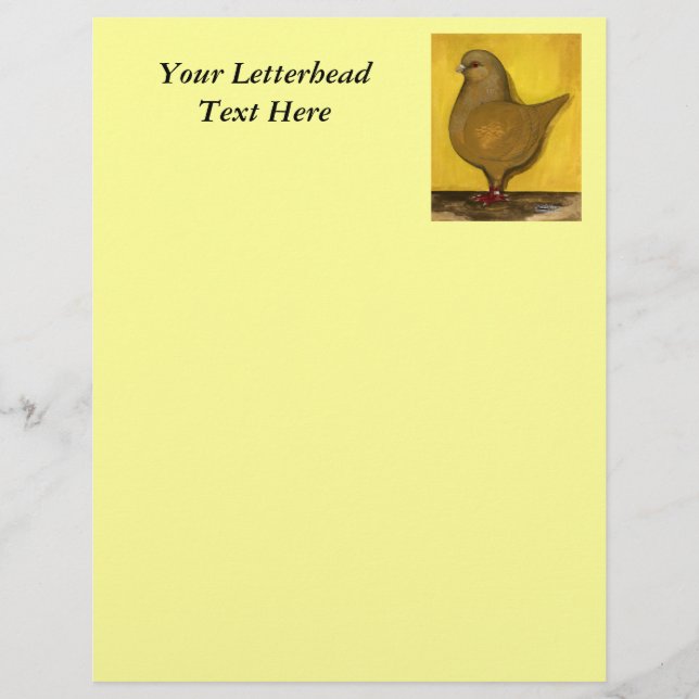Papier Modena Yellow Schietti Pigeon (Devant)
