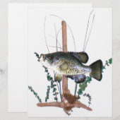 Papier Mont Crappie (Devant / Derrière)