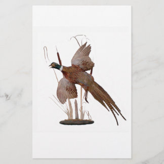 Papier Mont du faisan